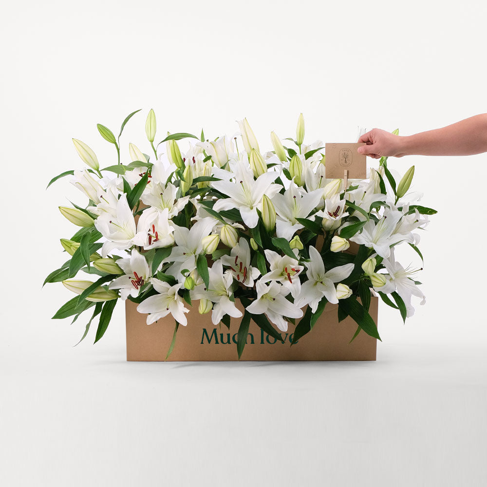 Lilies White Flowers Garden Box