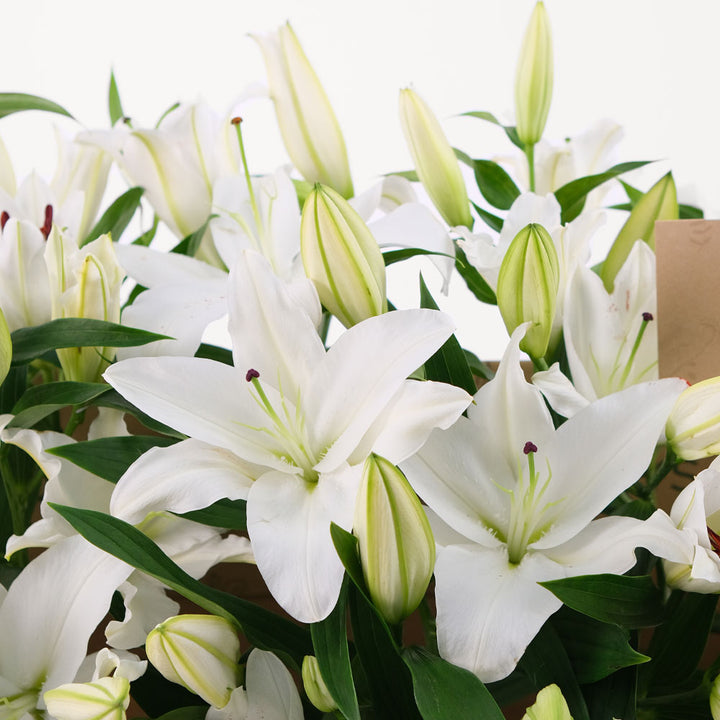 Lilies White Flowers Garden Box