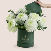 White Magnum Mum chrysanthemums arranged in a green deluxe round flower box by TWIGS Flower House