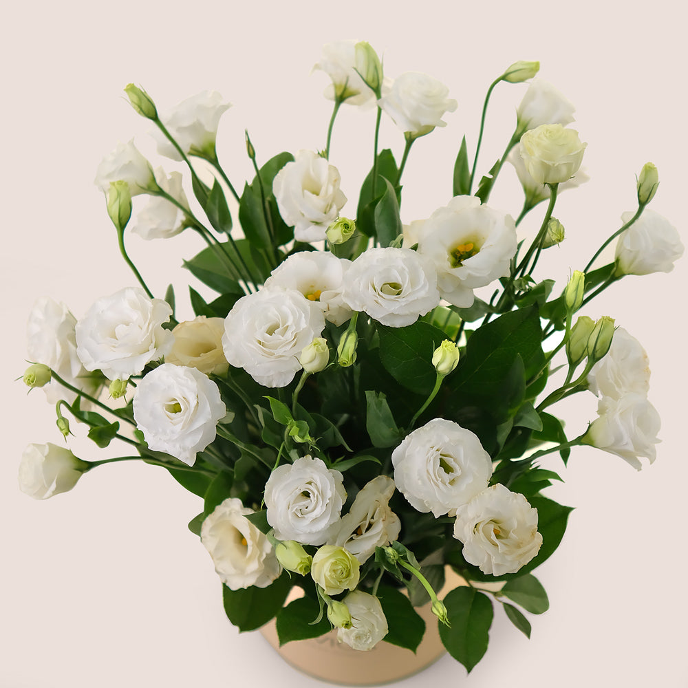 Deluxe White Lisianthus Flowers Round Box – A Pure Elegance