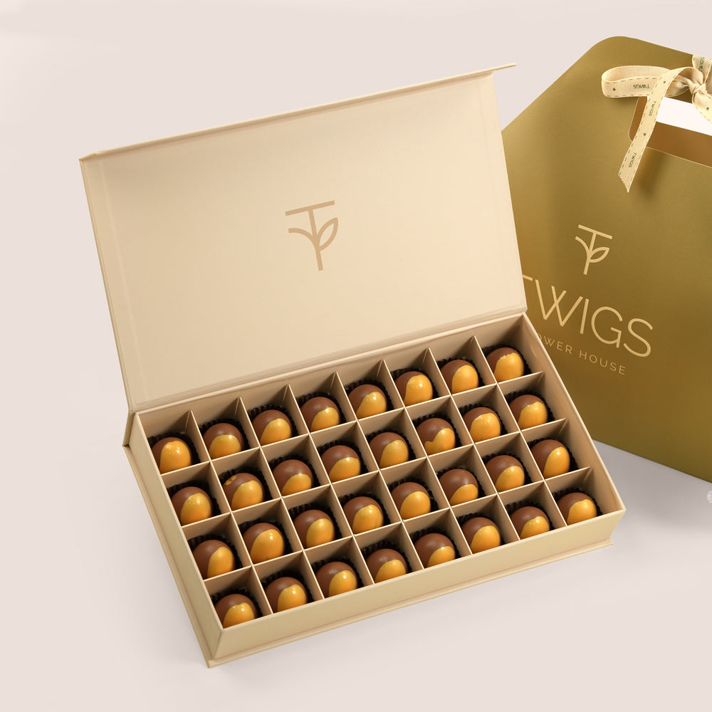 TWIGS Premiumm Chocolate Online Delivery Dubai