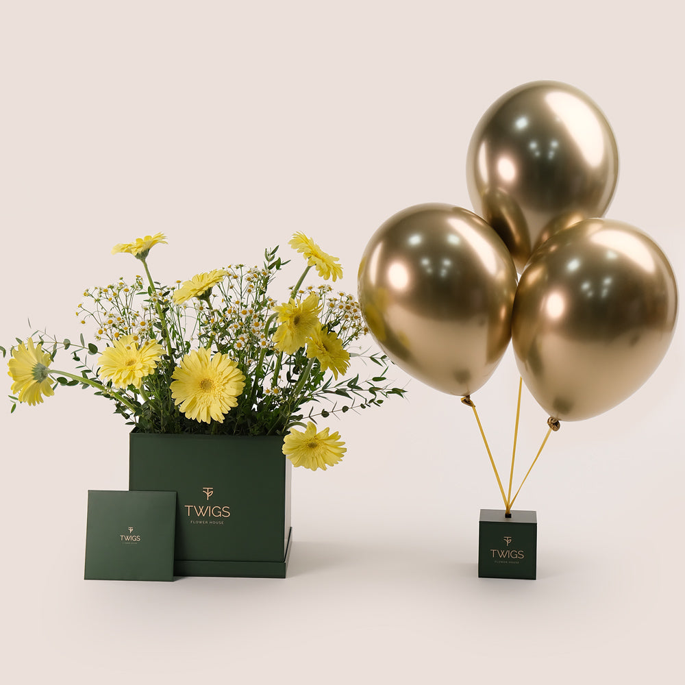 Golden Glow – Gerbera, Chamomile & Balloons Bundle – A Radiant Celebration of Flowers and Festivity