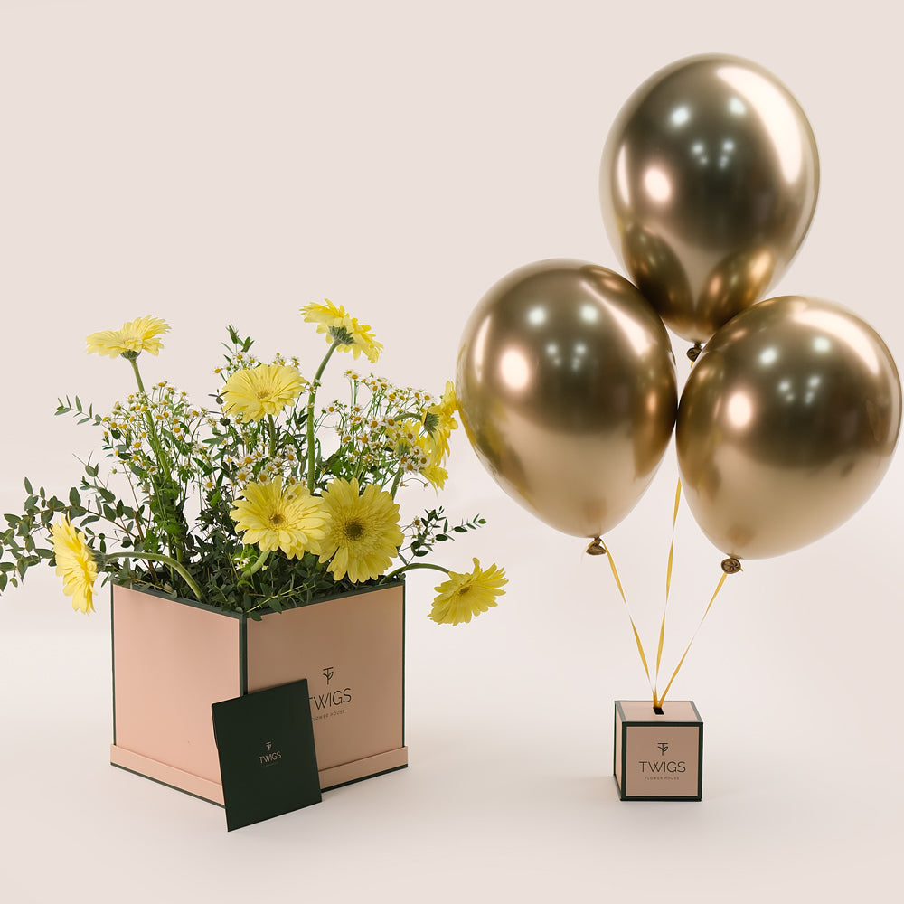 Golden Glow – Gerbera, Chamomile & Balloons Bundle – A Radiant Celebration of Flowers and Festivity