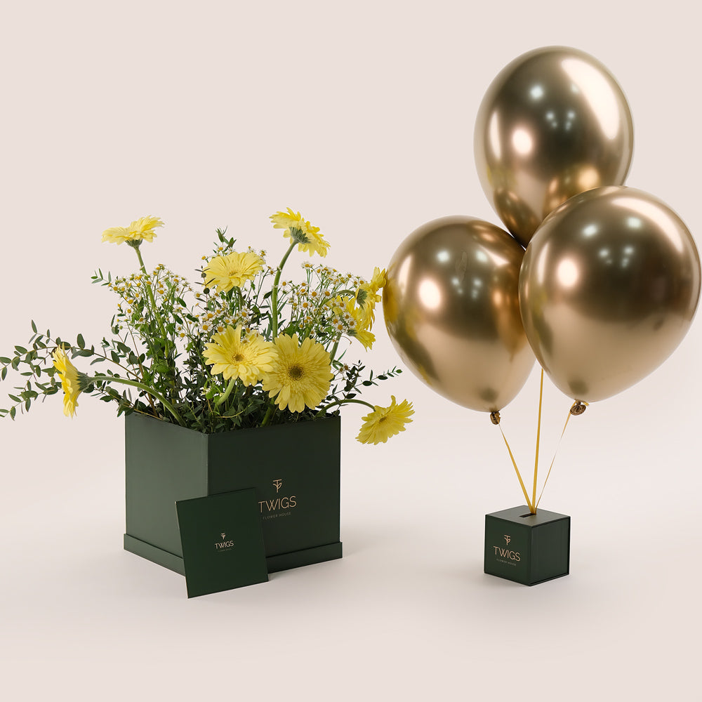 Golden Glow – Gerbera, Chamomile & Balloons Bundle – A Radiant Celebration of Flowers and Festivity