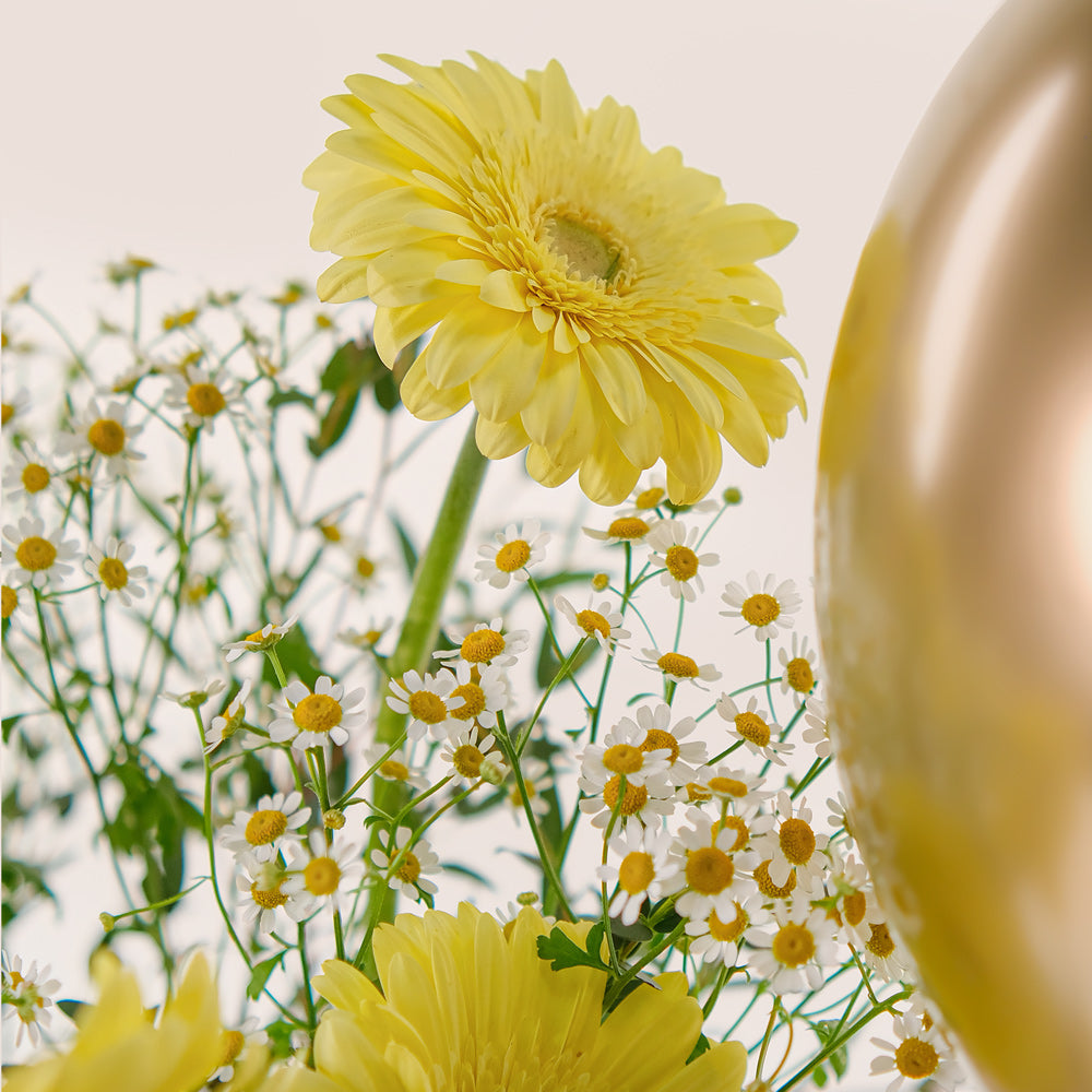 Golden Glow – Gerbera, Chamomile & Balloons Bundle – A Radiant Celebration of Flowers and Festivity